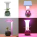  Desktop USB Full Spectrum LED Grow Light with Timer For Flowers, Cactus or desk plants