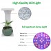  Desktop USB Full Spectrum LED Grow Light with Timer For Flowers, Cactus or desk plants