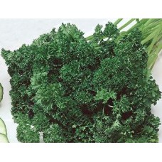 Parsley. Organic Hydroponic Seeds with 3 Pods
