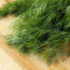 Dill. Organic Hydroponic Seeds with 3 Pods